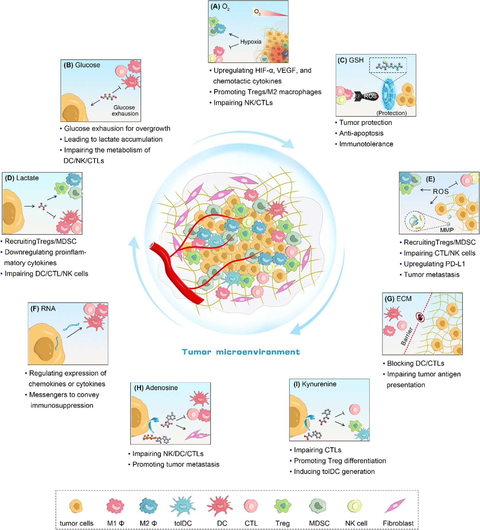 Nanocatalysts for modulating antitumor immunity: fabrication 