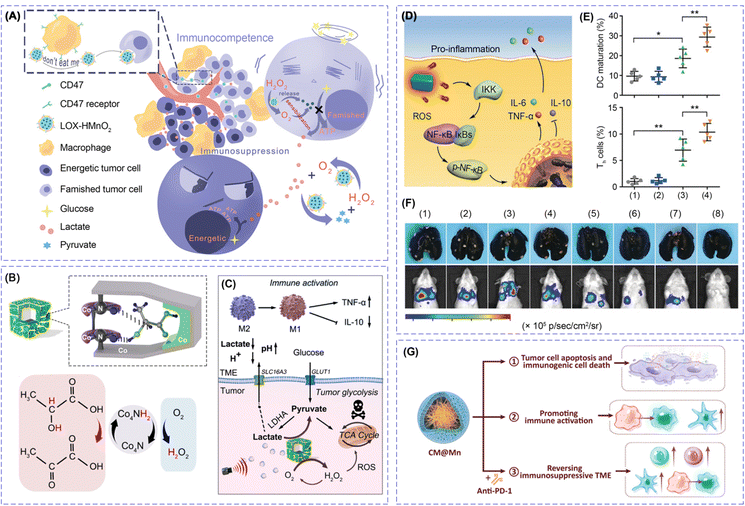Nanocatalysts for modulating antitumor immunity: fabrication