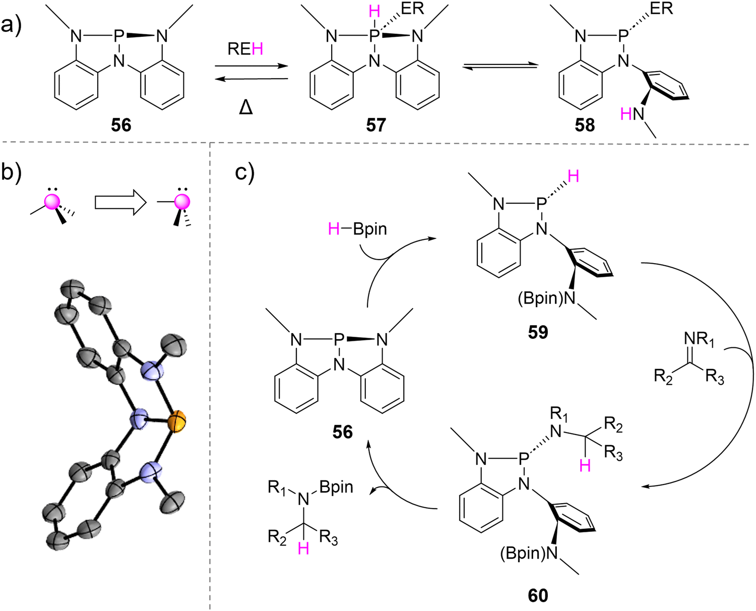 Ligand-enforced geometric constraints and associated reactivity in