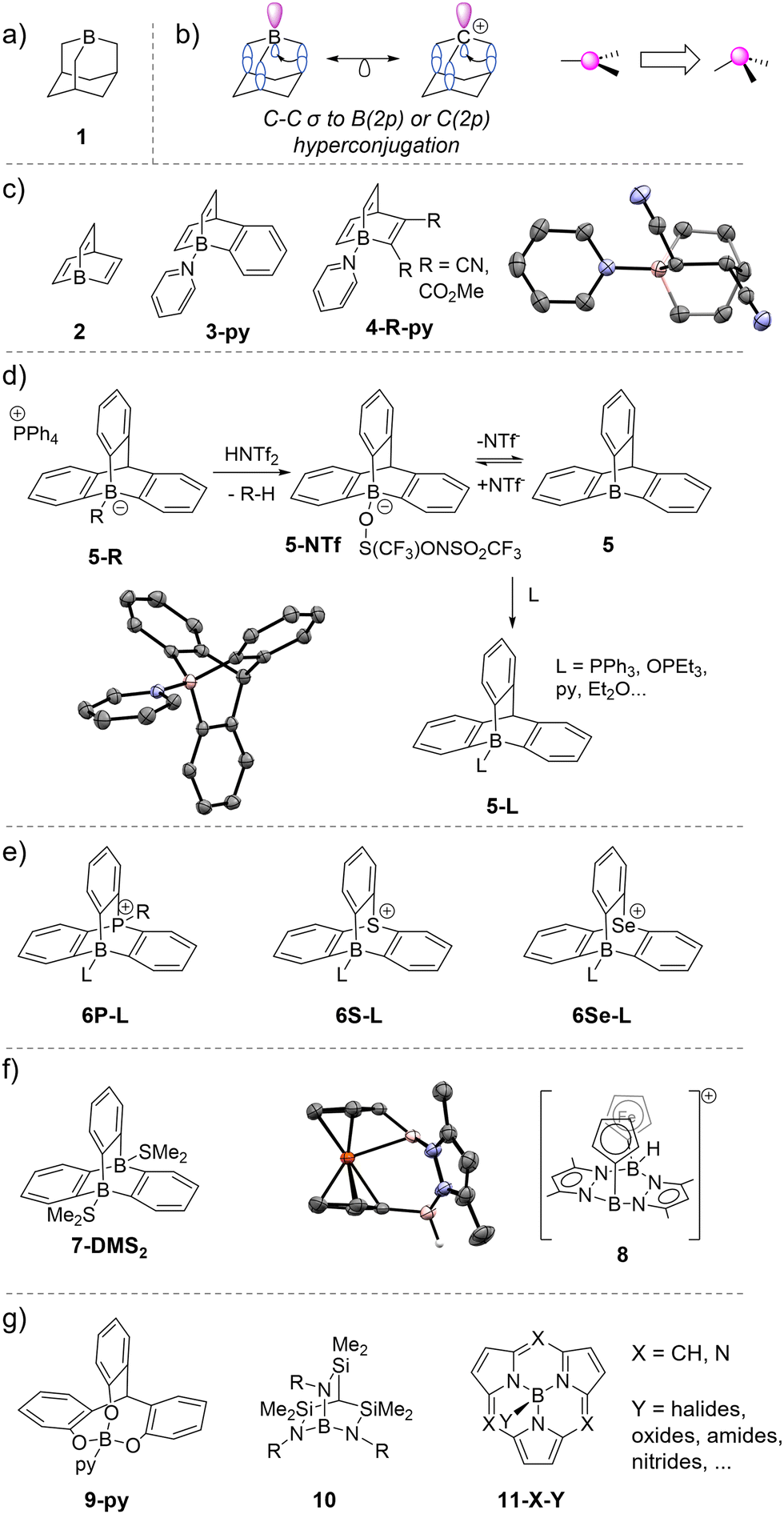 Ligand-enforced geometric constraints and associated