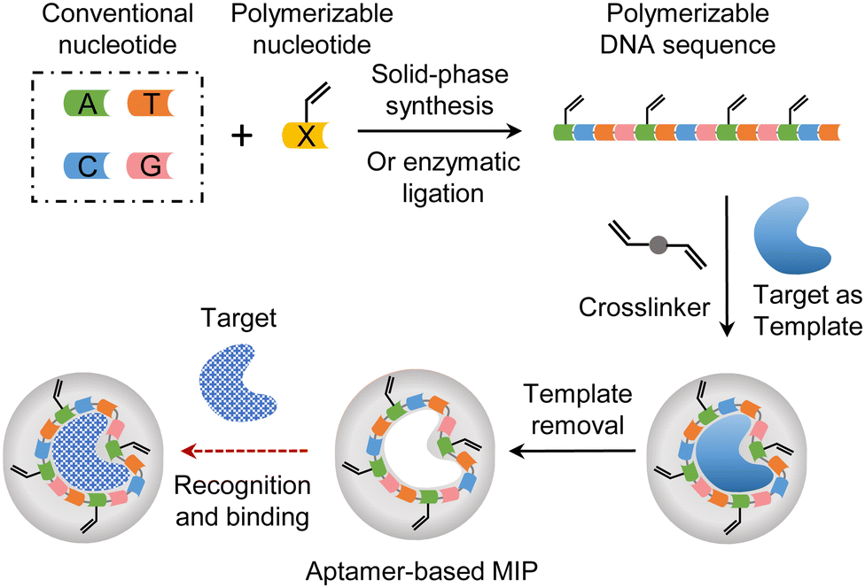 グリッドシステム Aptamer-based assembly systems for SARS-CoV-2 detection and