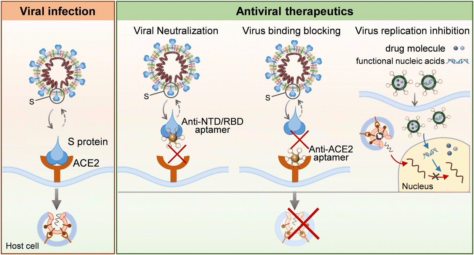Aptamer-based assembly systems for SARS-CoV-2 detection and Aptamer-based assembly systems for SARS-CoV-2 detection and