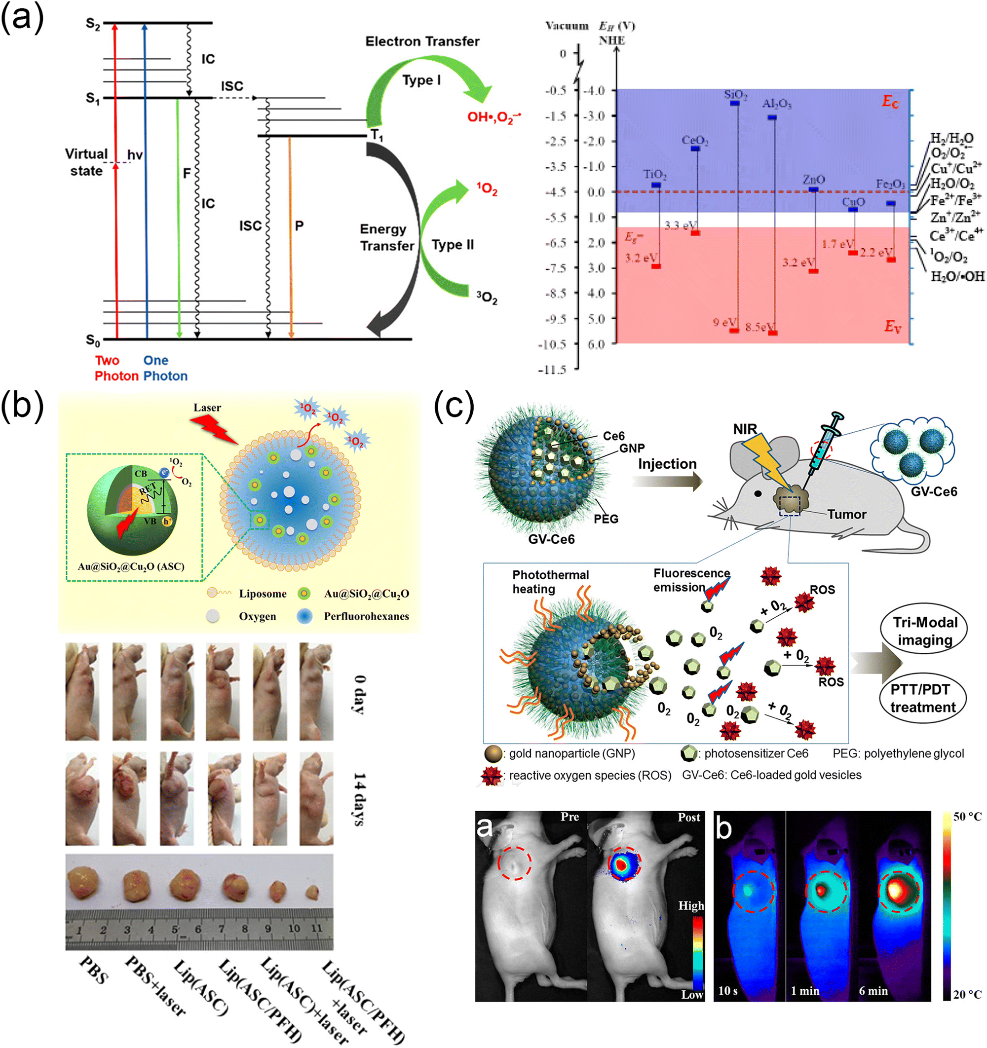 SELF SERVICE No.２ Spring １９９６ Rear Shock Absorber Struts Assembly w/Coil Spring Fit for