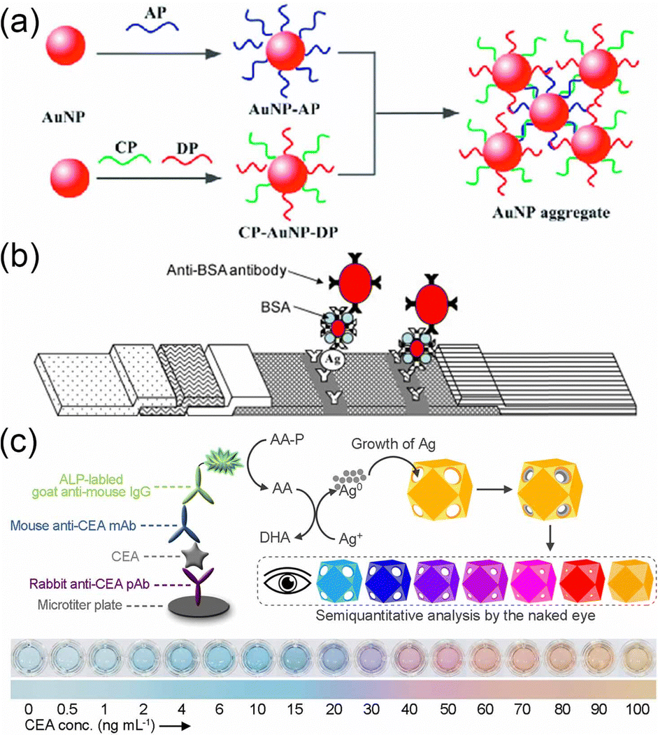 Plasmonic silver and gold nanoparticles: shape- and structure 