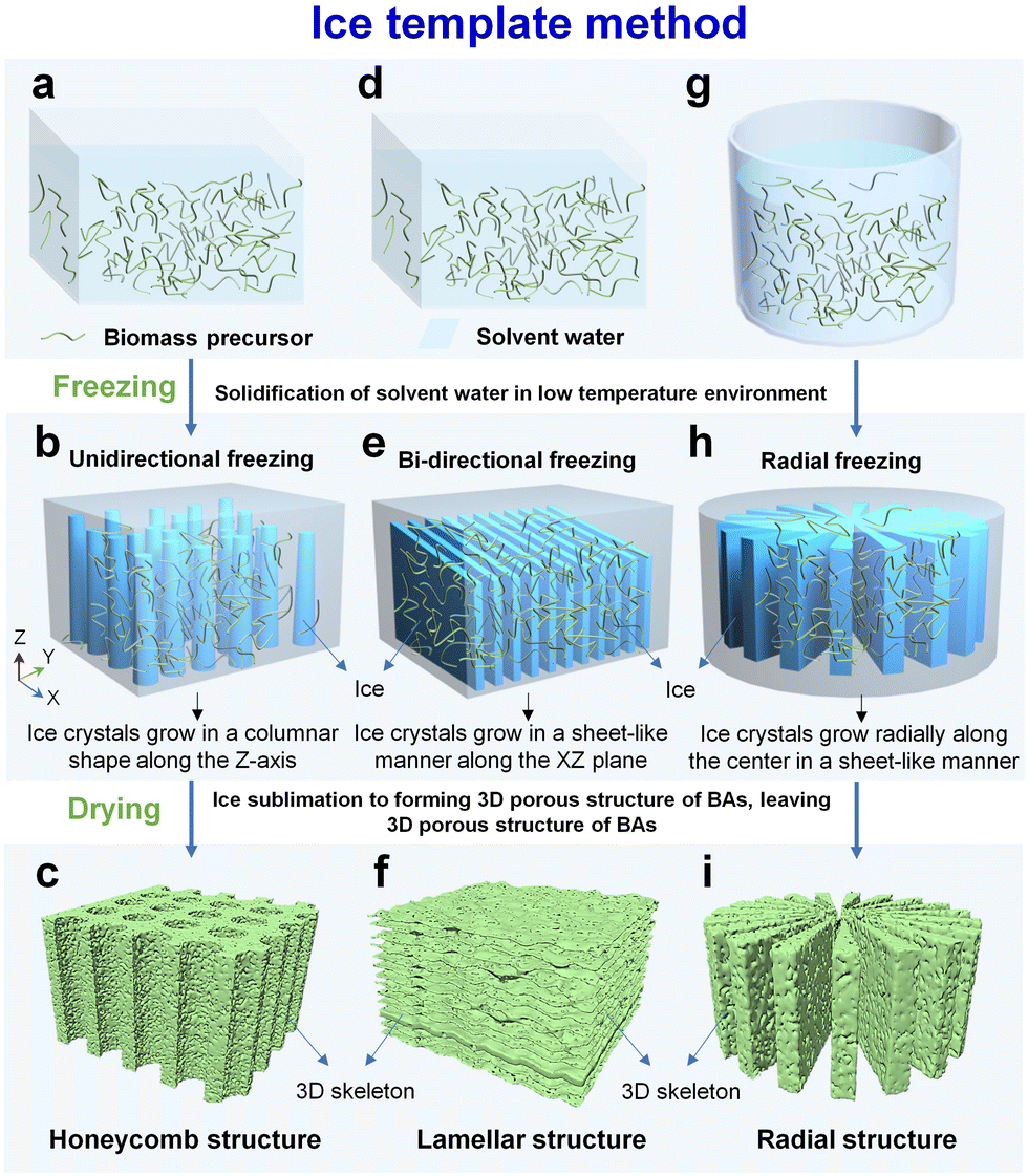 Renewable biomass-based aerogels: from structural design to