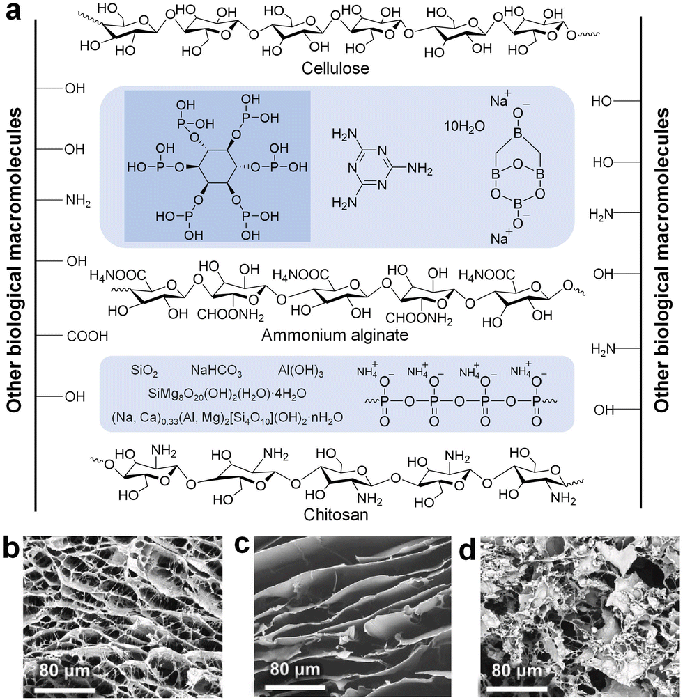 Renewable biomass-based aerogels: from structural design to Renewable biomass-based aerogels: from structural design to