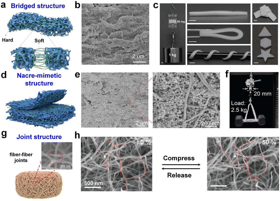 Renewable biomass-based aerogels: from structural design to