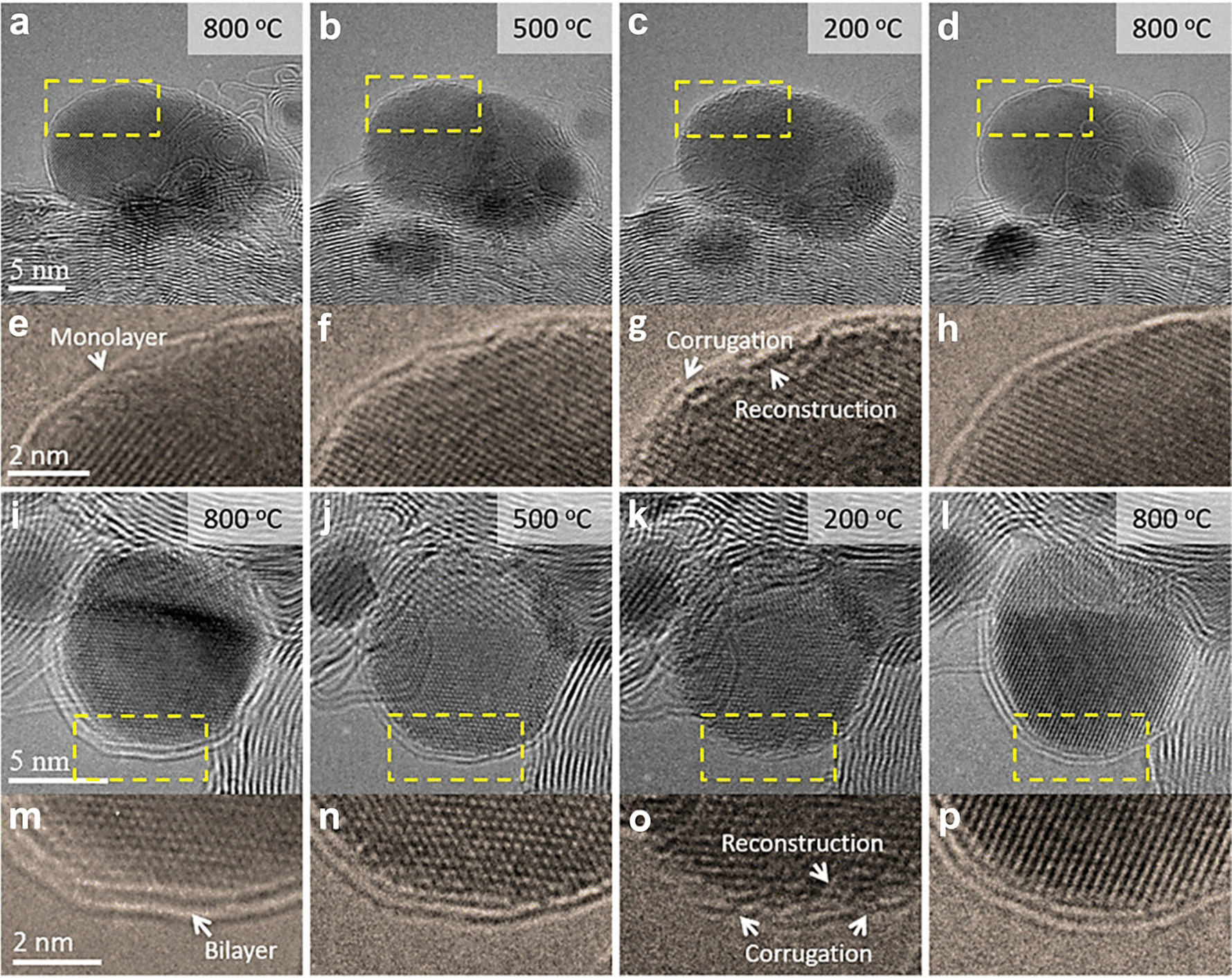 Carbon encapsulated nanoparticles: materials science and energy applications - Chemical Society Reviews (RSC Publishing) DOI:10.1039/D3CS01122D Carbon encapsulated nanoparticles: materials science and energy applications - Chemical Society Reviews (RSC Publishing) DOI:10.1039/D3CS01122D