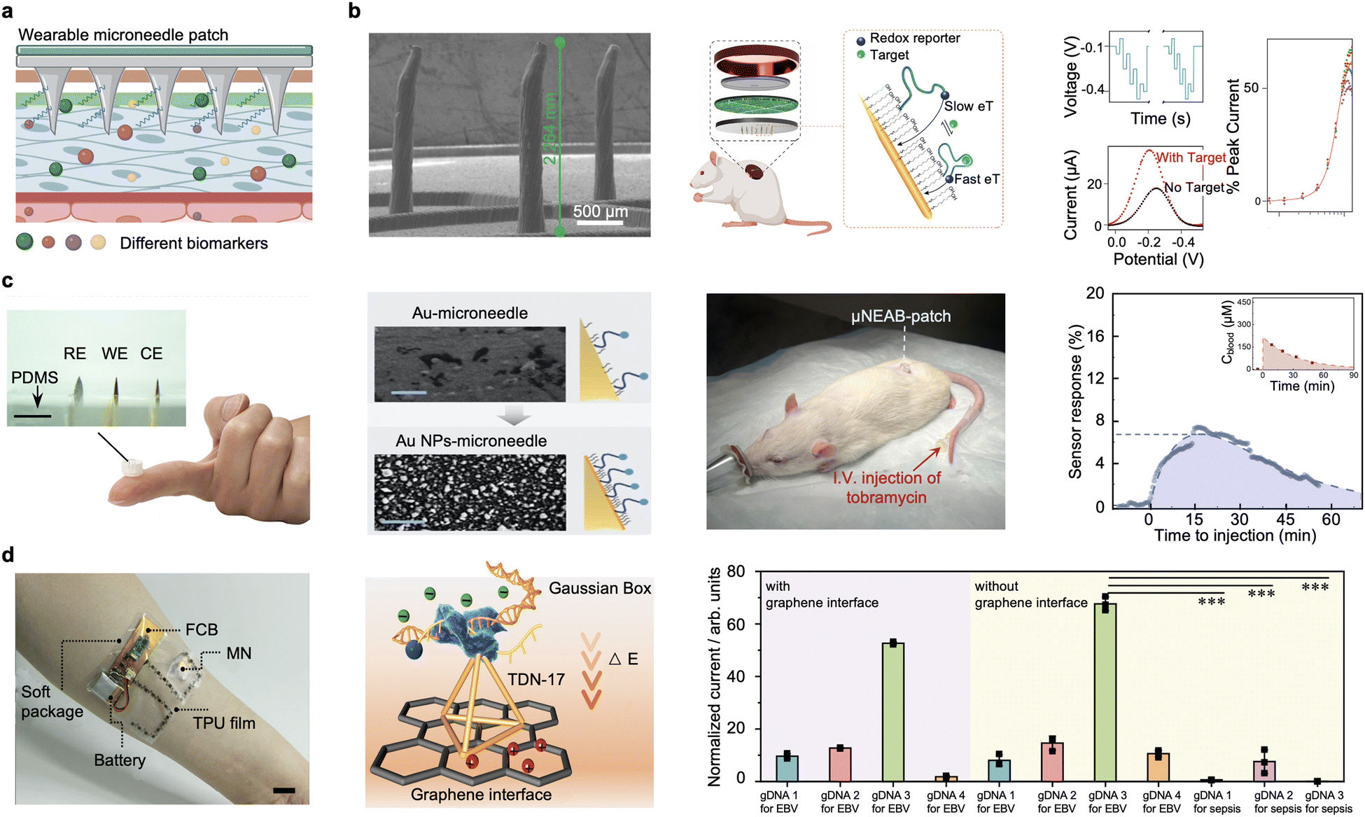 Nucleic acid-based wearable and implantable electrochemical