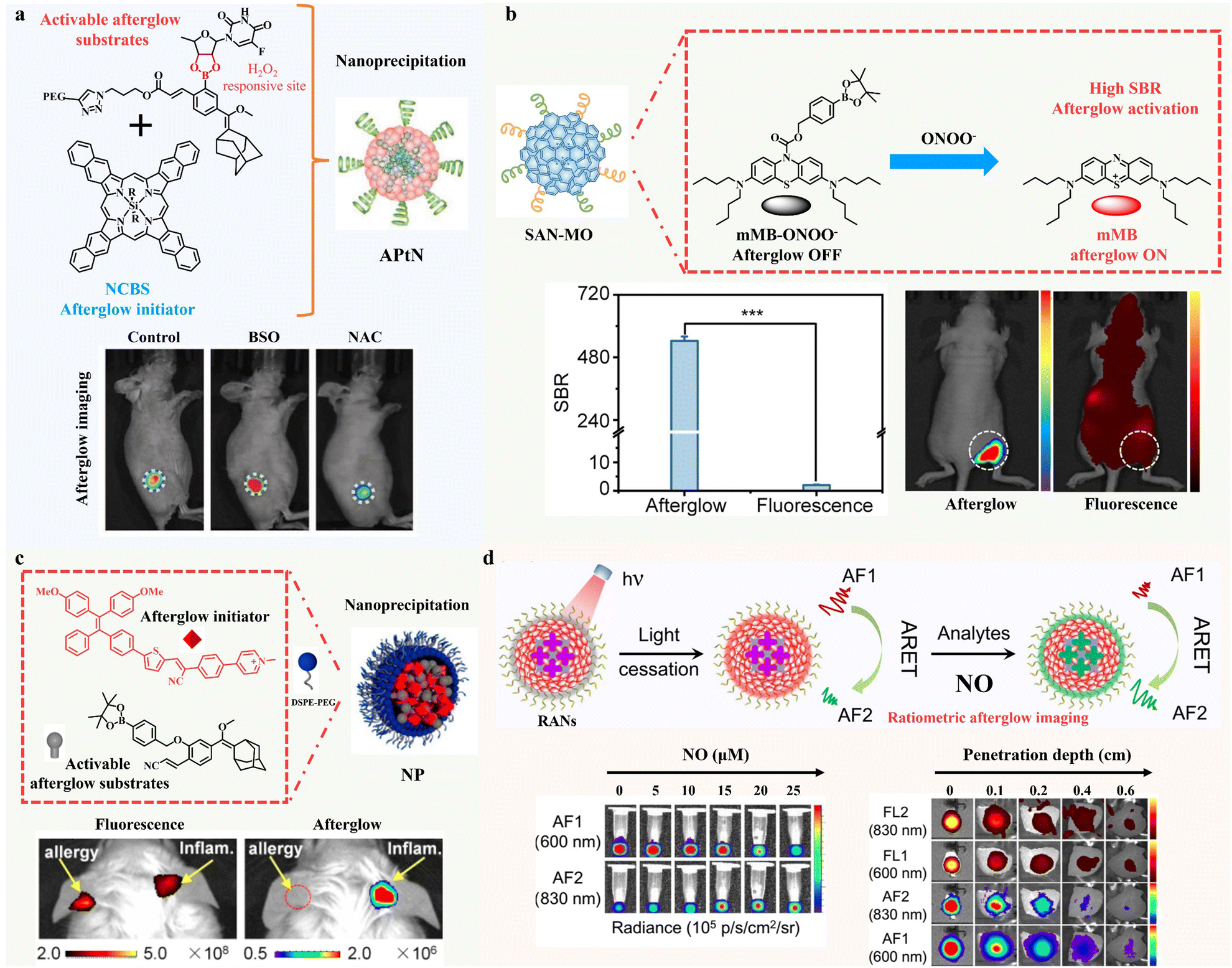 Reactive oxygen species-mediated organic long-persistent luminophores light  up biomedicine: from two-component separated nano-systems to integrated un  ... - Chemical Society Reviews (RSC Publishing) DOI:10.1039/D4CS00443D