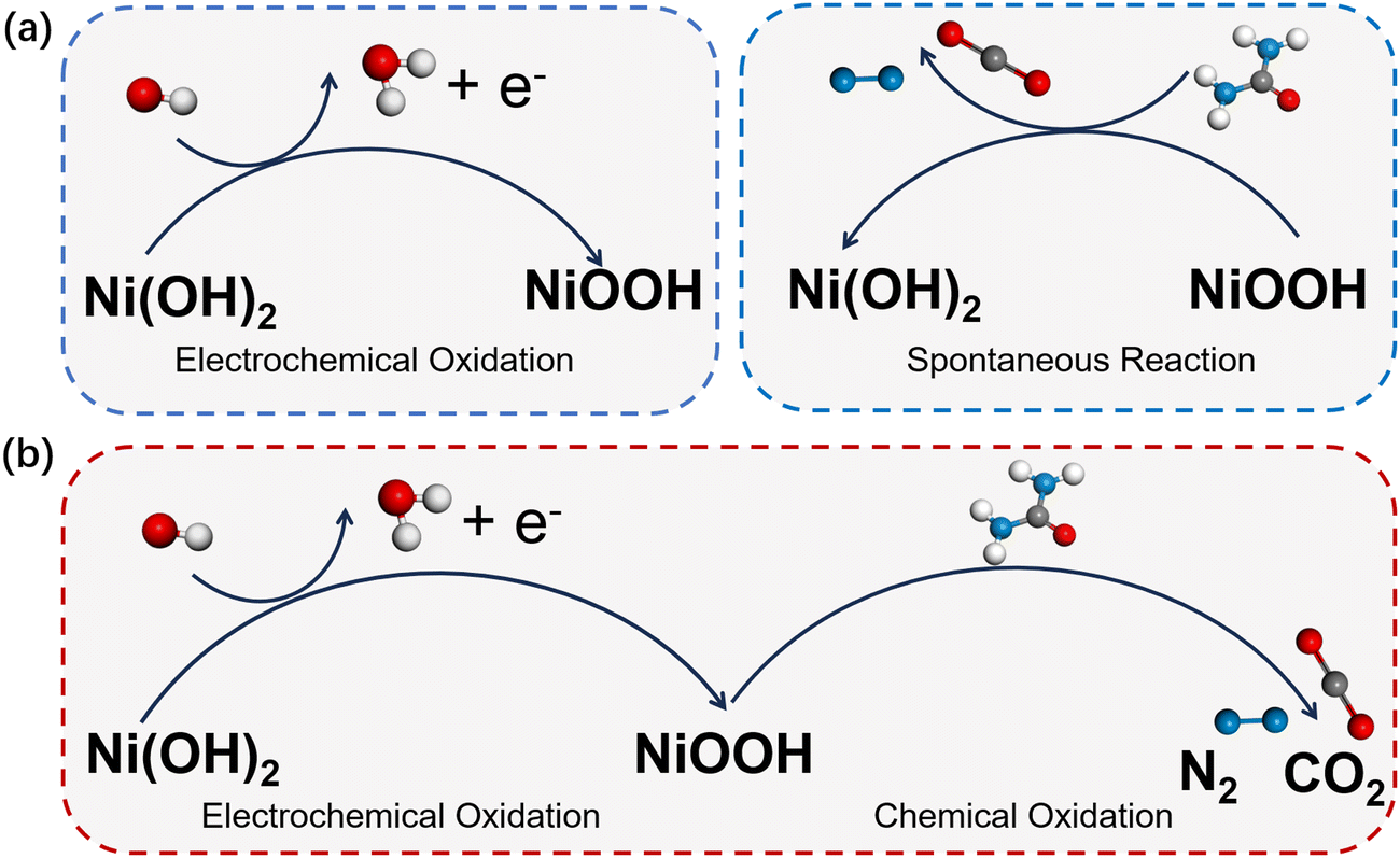 Electrodegradation of nitrogenous pollutants in sewage: from