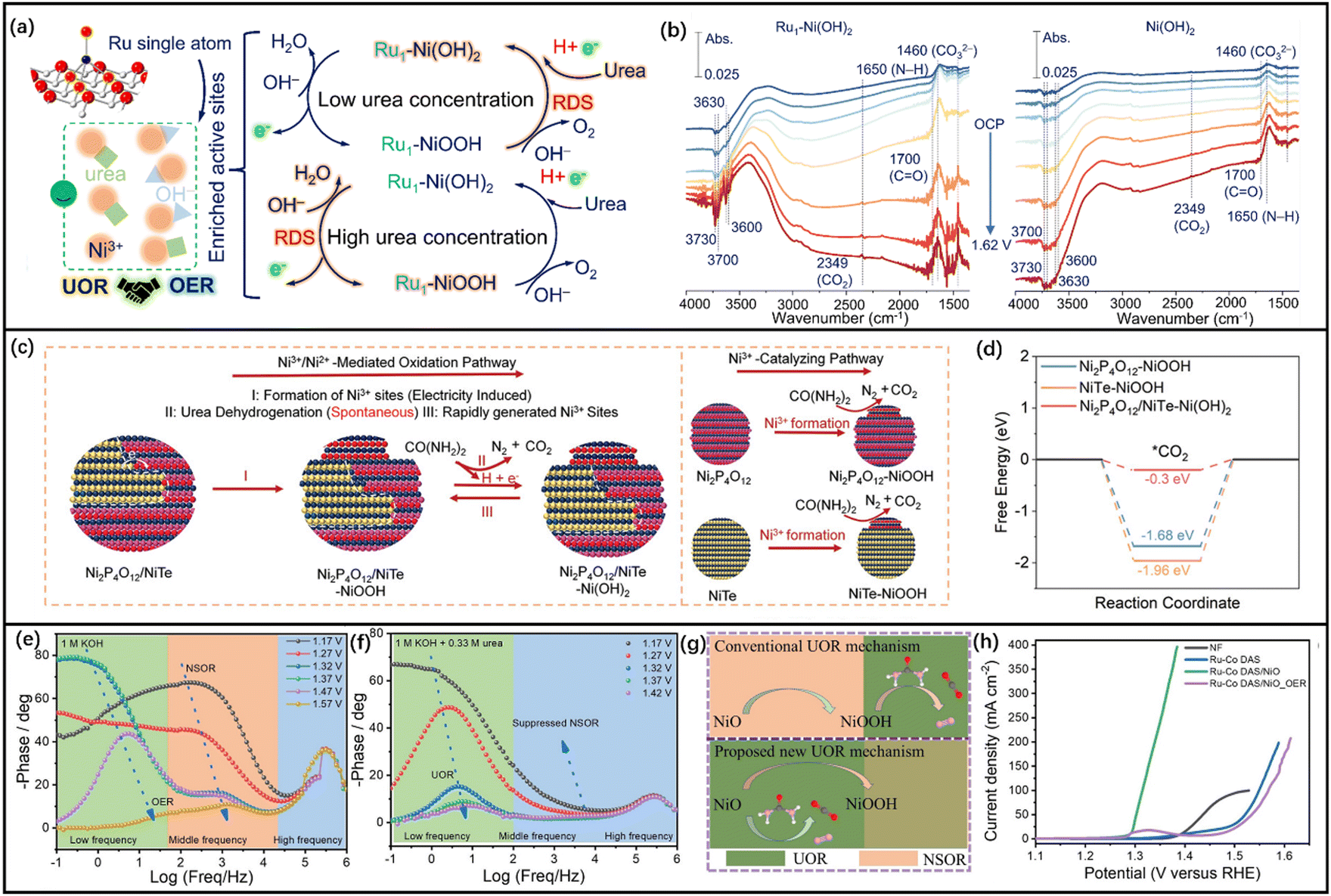 Electrodegradation of nitrogenous pollutants in sewage: from