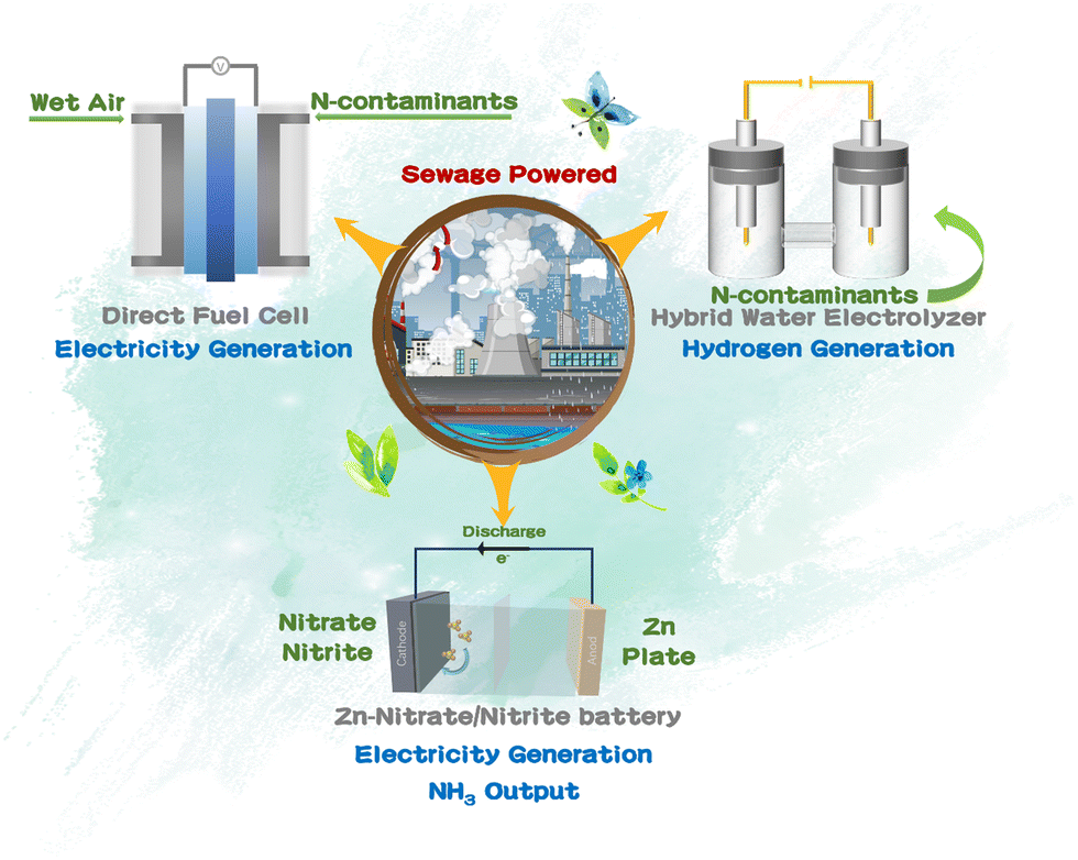 Electrodegradation of nitrogenous pollutants in sewage: from Electrodegradation of nitrogenous pollutants in sewage: from