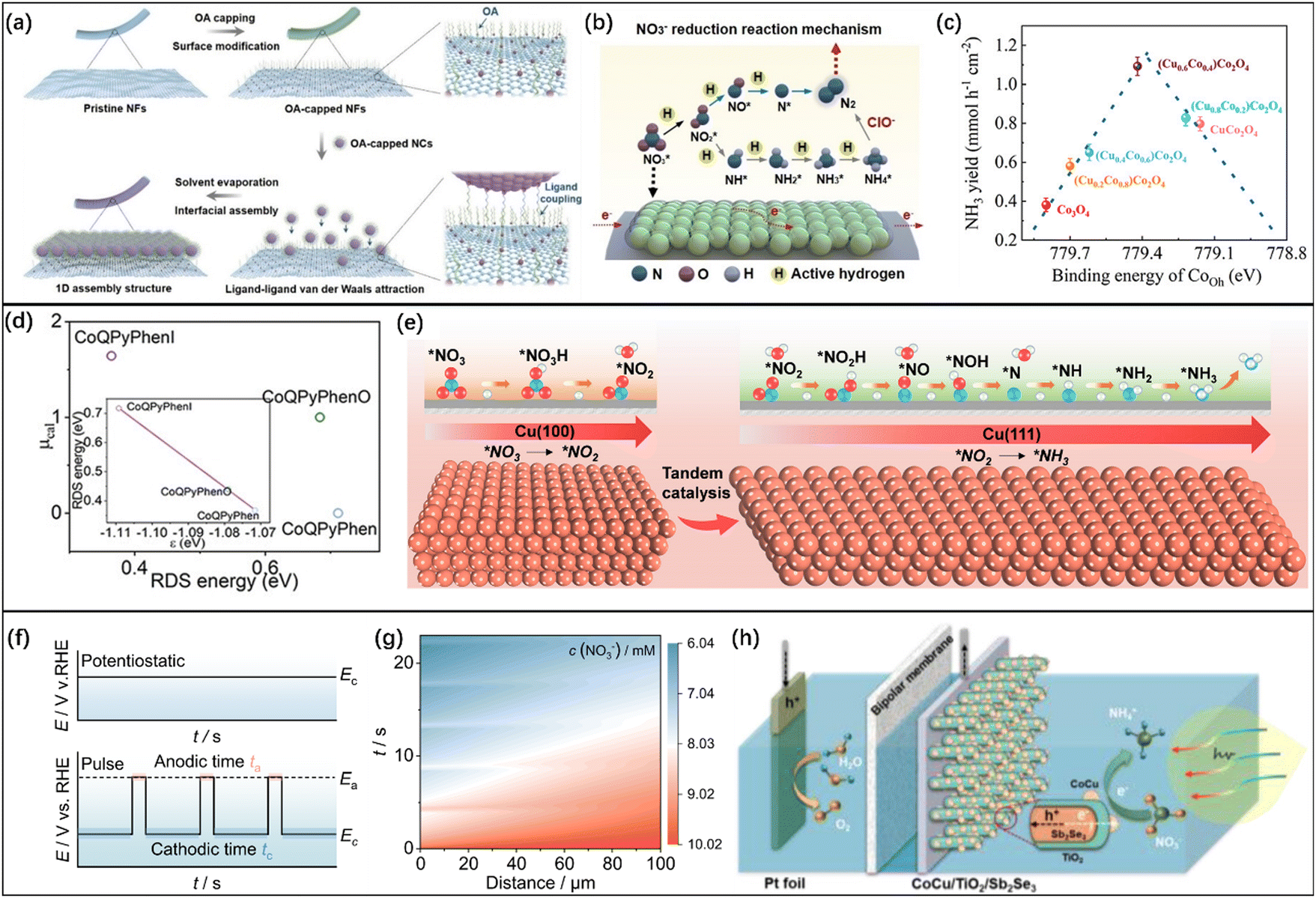 Electrodegradation of nitrogenous pollutants in sewage: from Electrodegradation of nitrogenous pollutants in sewage: from