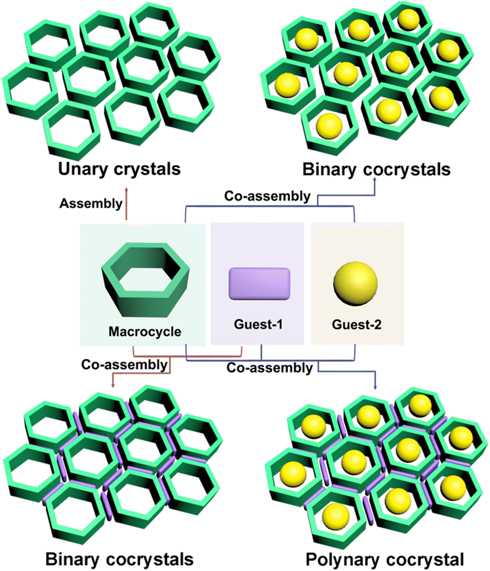 Supramolecular-macrocycle-based functional organic Supramolecular-macrocycle-based functional organic