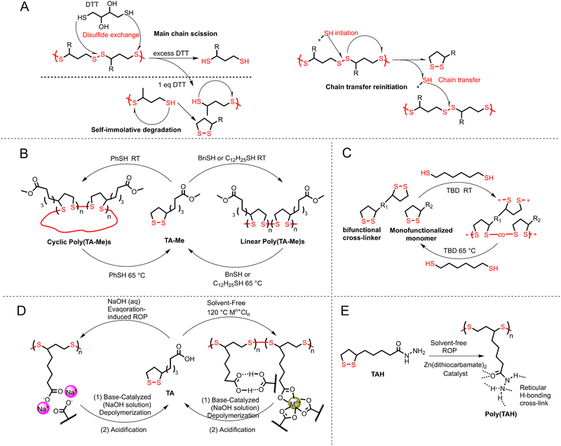 Closed-loop recyclable polymers: from monomer and polymer design