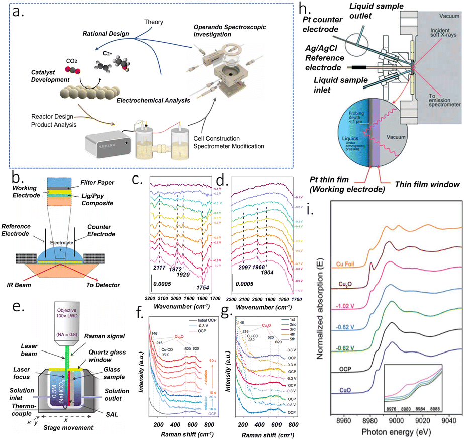 大人気新品セール ブ Progress CO electrochemical for electrocatalysts Cu-based in キッチン家電