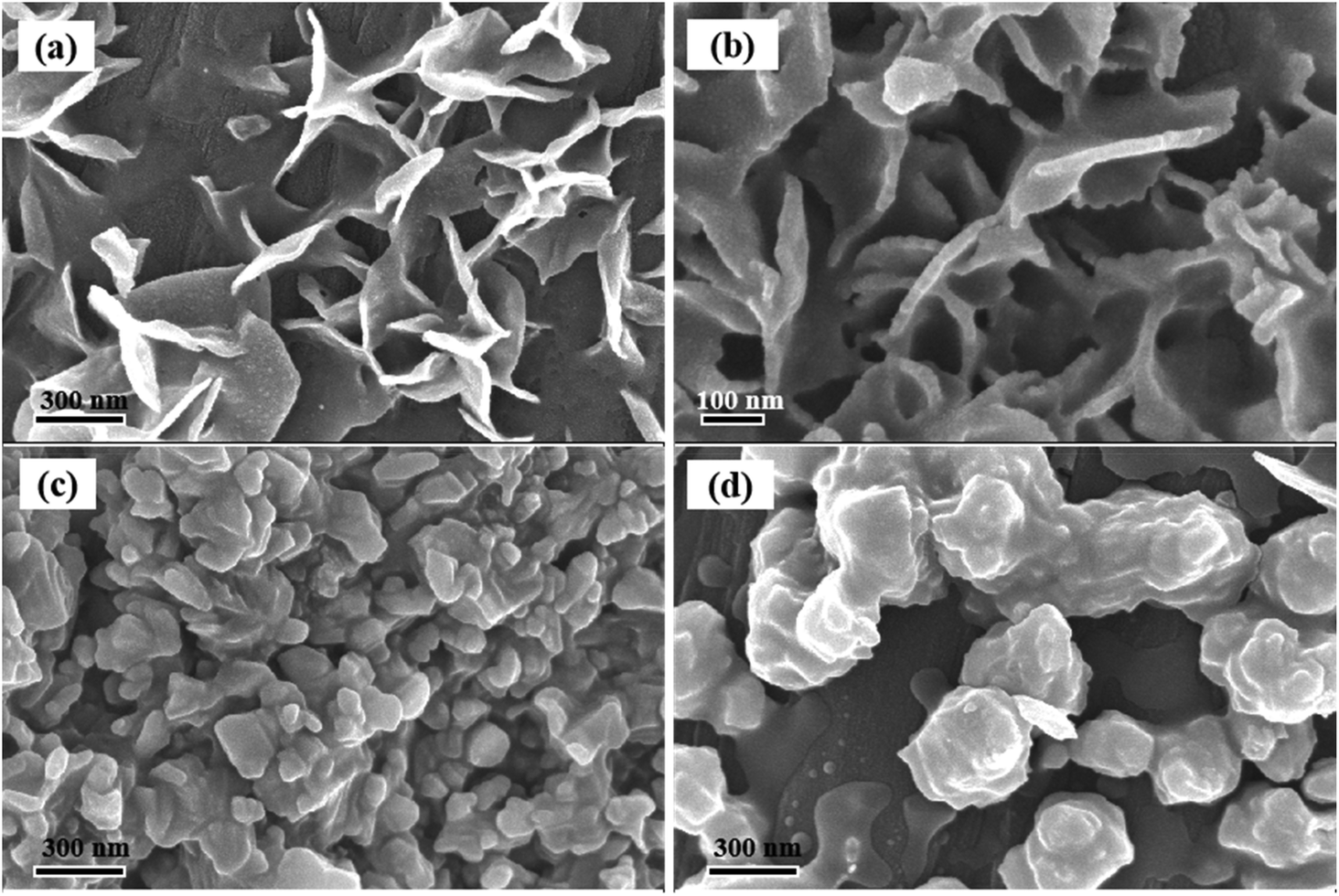 Heterogeneous Co–Ni phosphide with active sites for water 