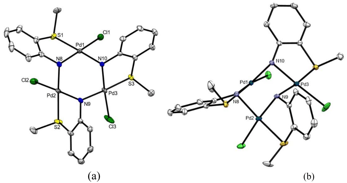 Reactivity Of Schiff Base [c N S] Pincer Palladacycles Hydrolysis Renders Singular Trinuclear