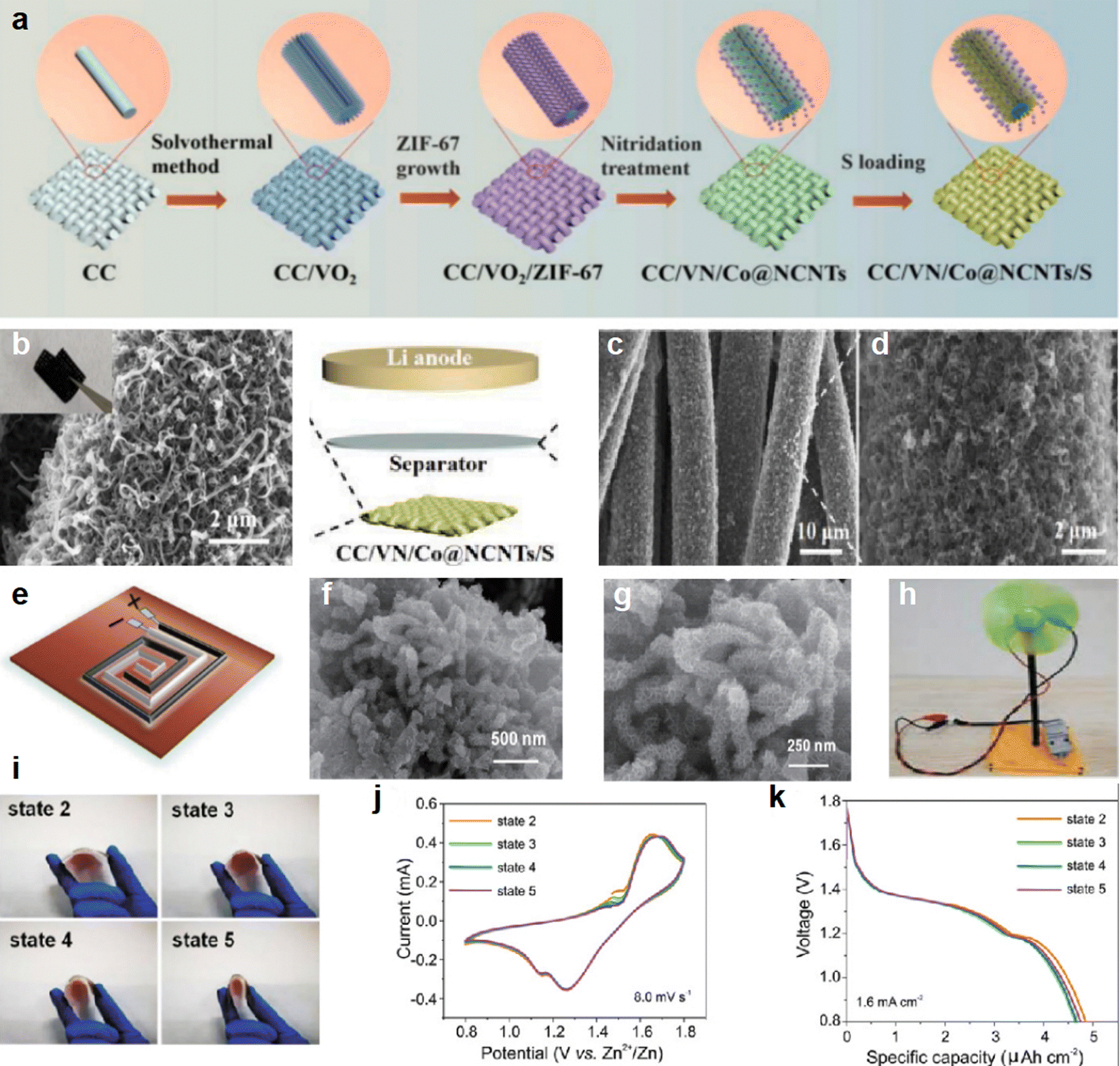 Mechanics and electrochemistry in nature-inspired functional