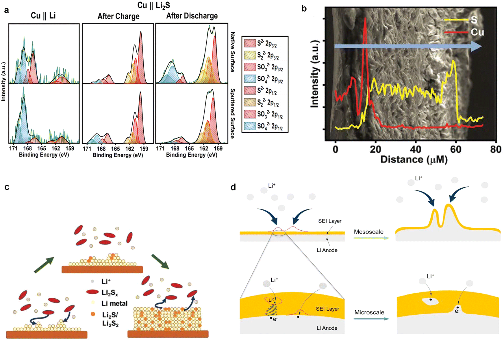 Interface engineering toward stable lithium–sulfur batteries 