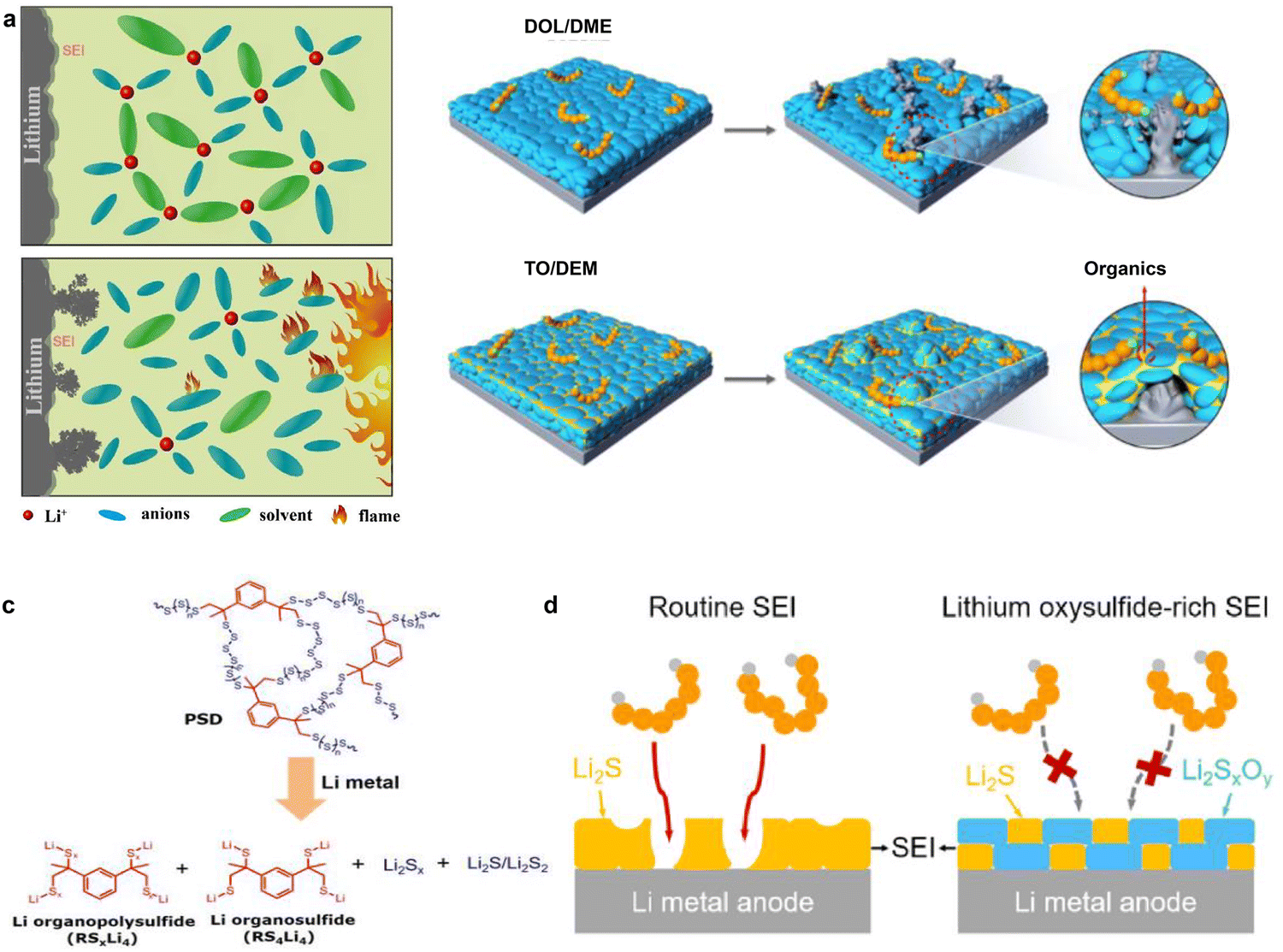 Interface engineering toward stable lithium–sulfur batteries