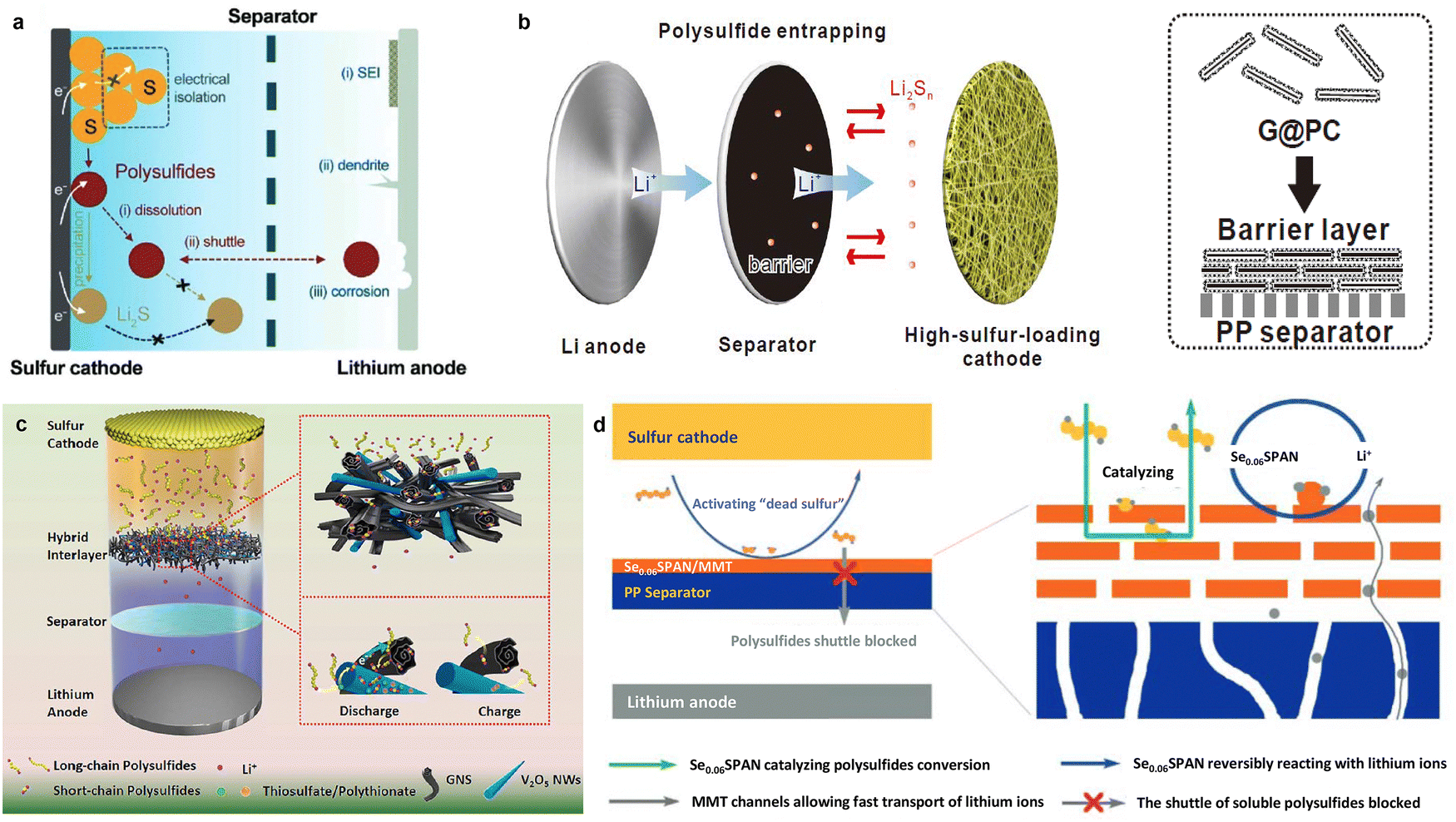 Interface engineering toward stable lithium–sulfur batteries 