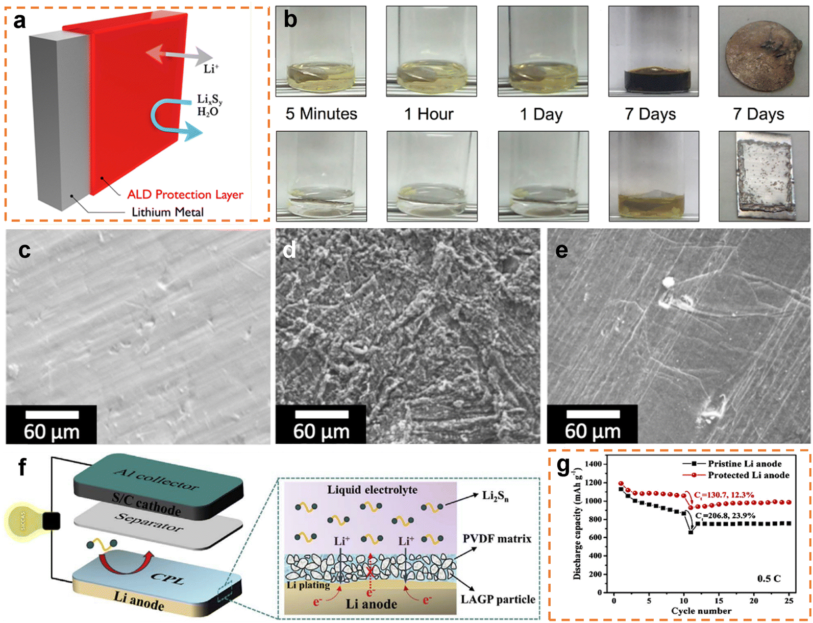 Shelf life of lithium–sulfur batteries under lean electrolytes 