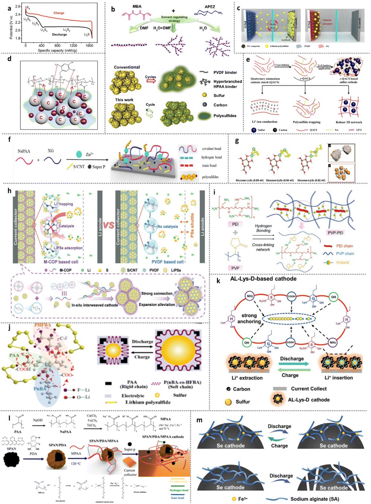 Binder design strategies for cathode materials in advanced