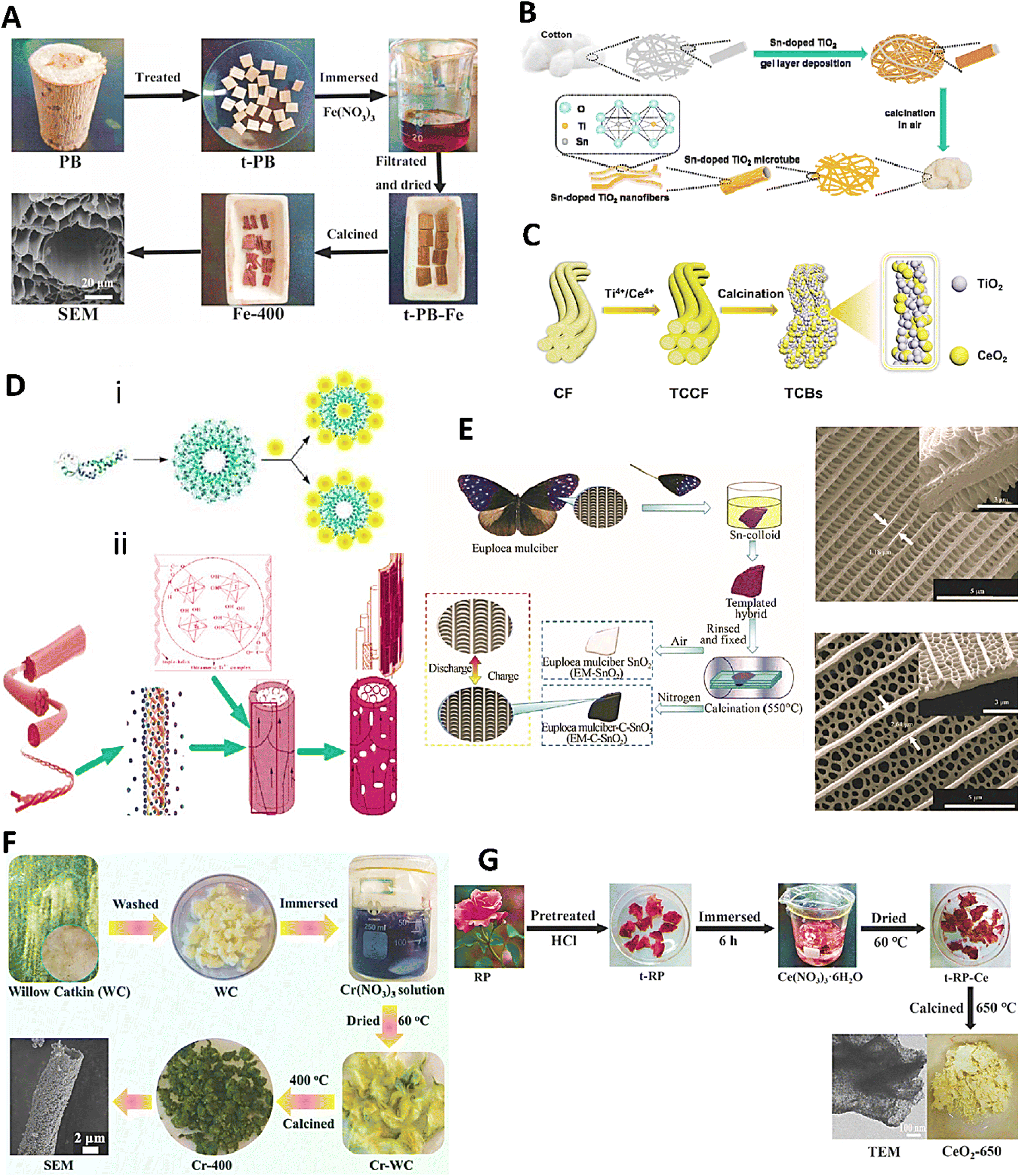 Sustainable synthesis: natural processes shaping the nanocircular