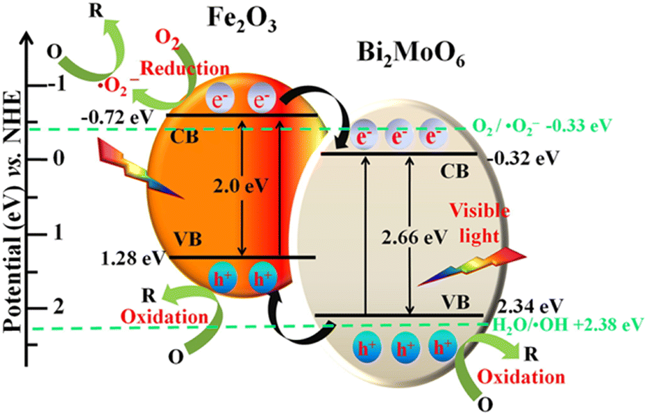 Applications of bismuth-based nanoparticles for the removal of