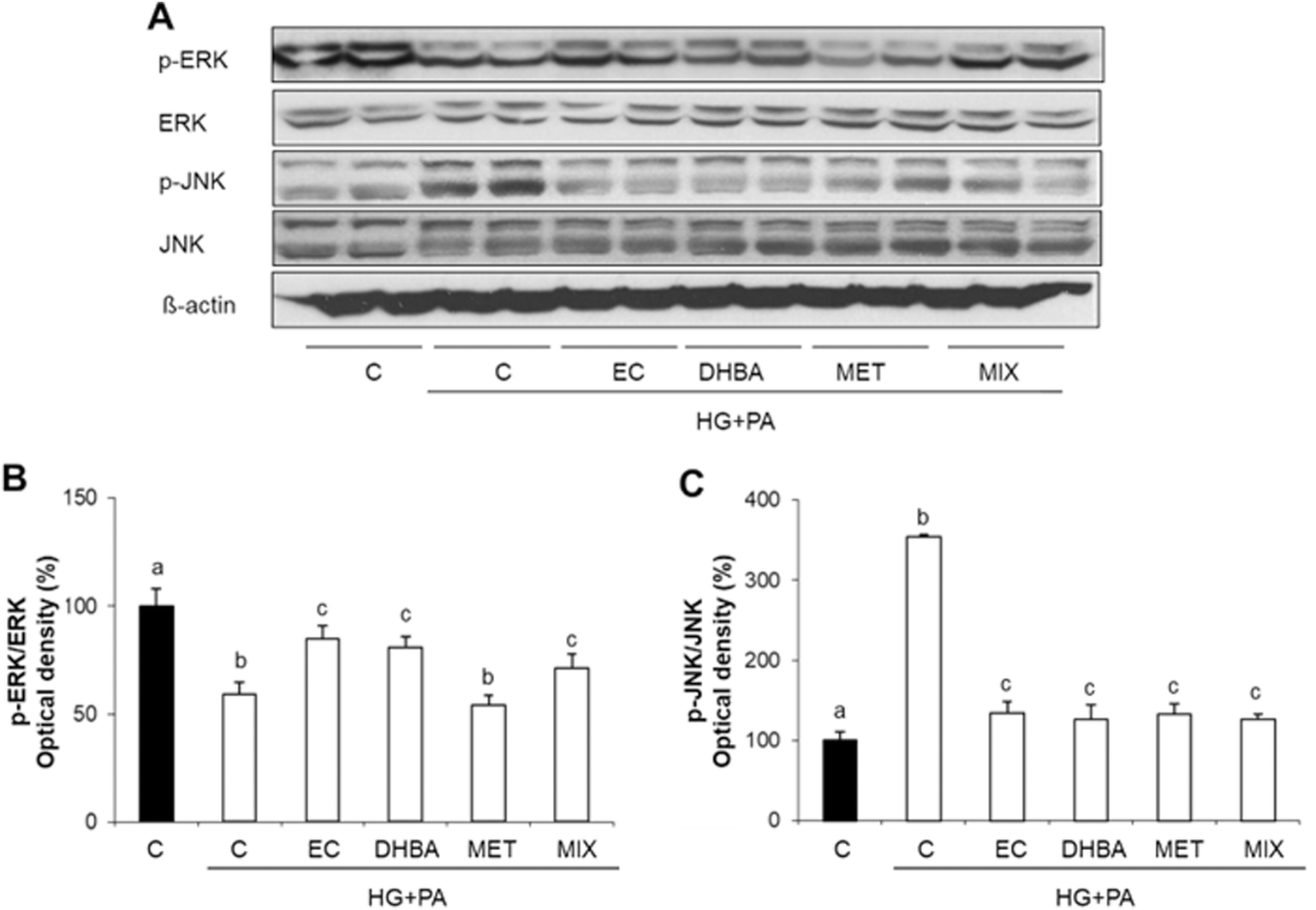 −)-Epicatechin and colonic metabolite 2