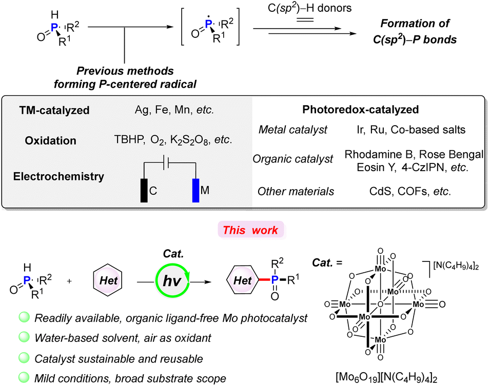 Inorganic ligand-supported Mo oxide as a hydrogen atom Inorganic ligand-supported Mo oxide as a hydrogen atom