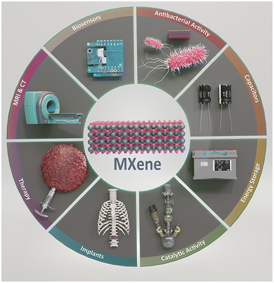 image file: d4gc01566e-s1.tif