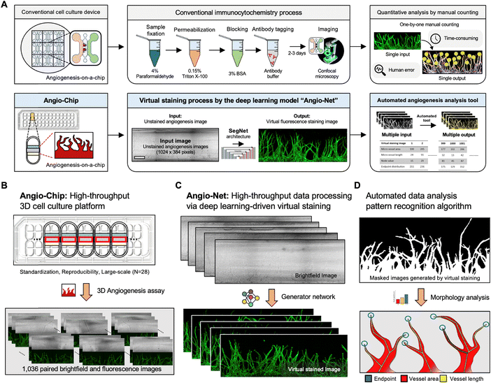 image file: d3lc00935a-f1.tif
