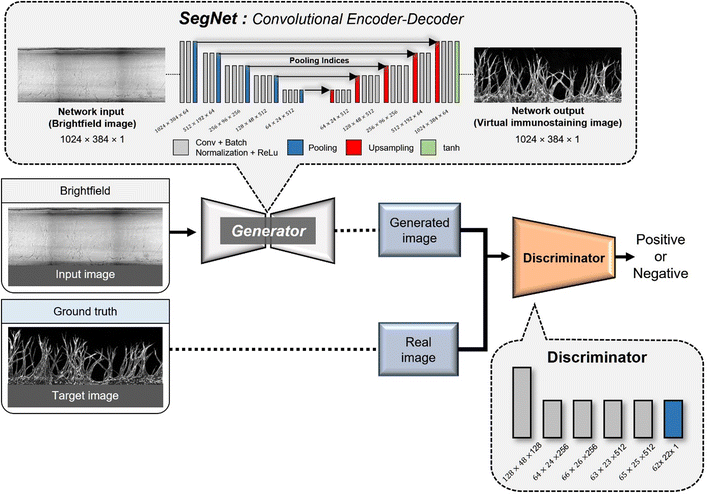 image file: d3lc00935a-f2.tif