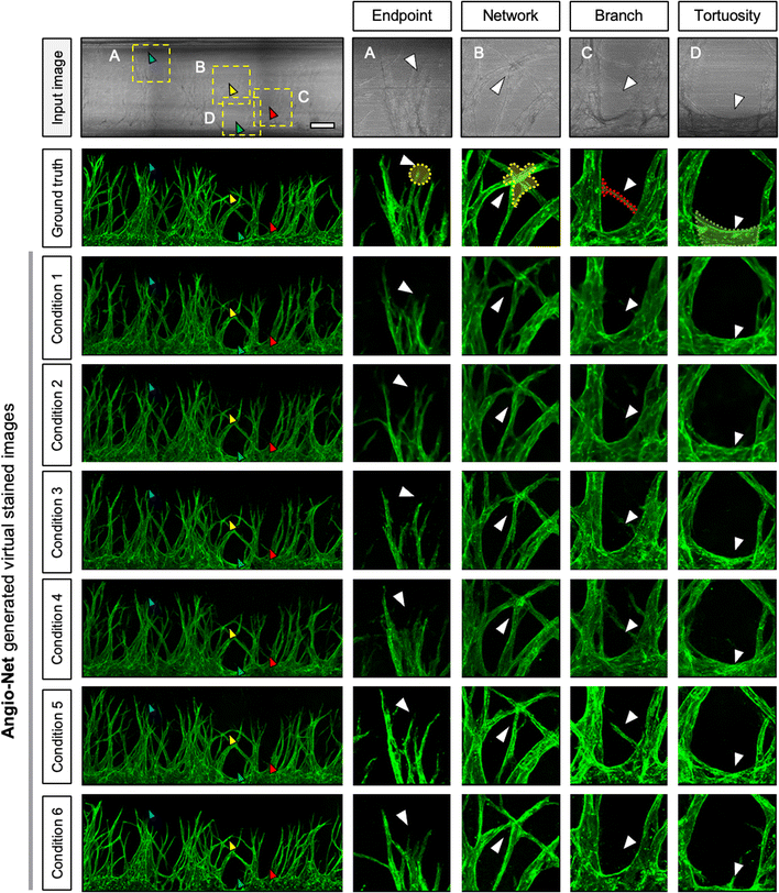 image file: d3lc00935a-f4.tif