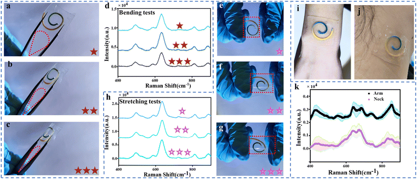 image file: d3lc01094e-f4.tif