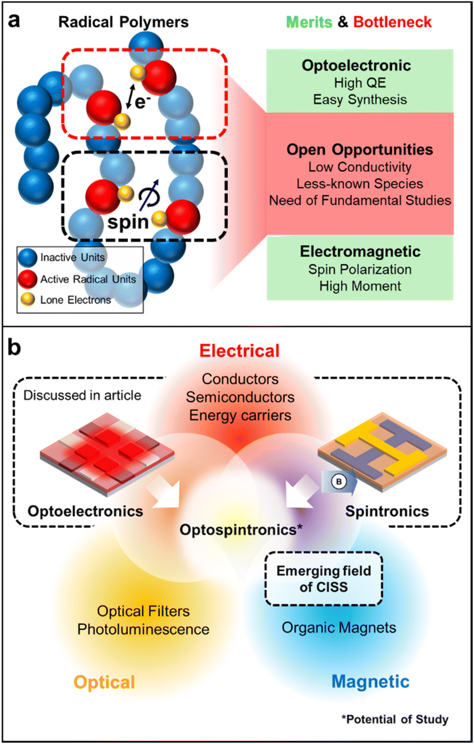 Radical polymers in optoelectronic and spintronic applications 