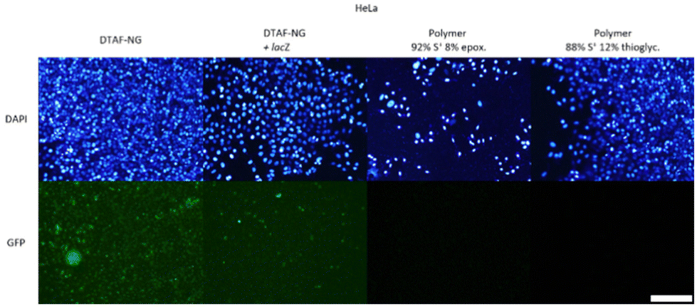 Antibiotic influx and efflux in Pseudomonas aeruginosa