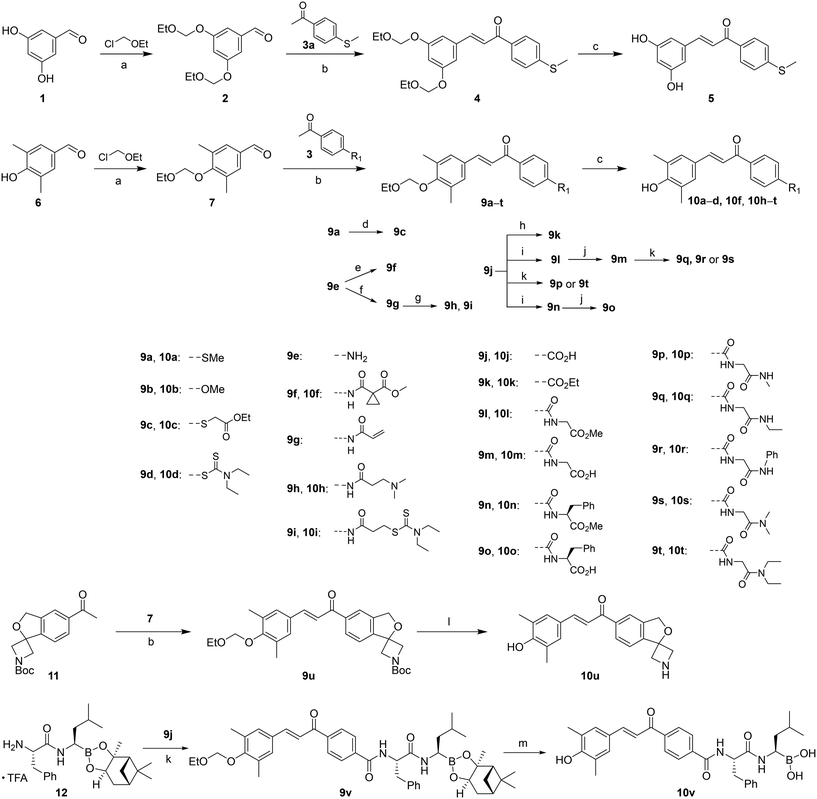 image file: d3md00451a-s1.tif