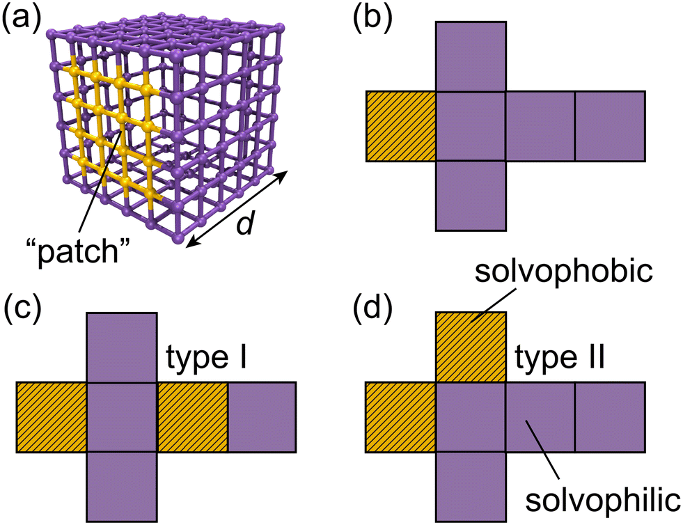 Shear-induced structural and viscosity changes of amphiphilic 