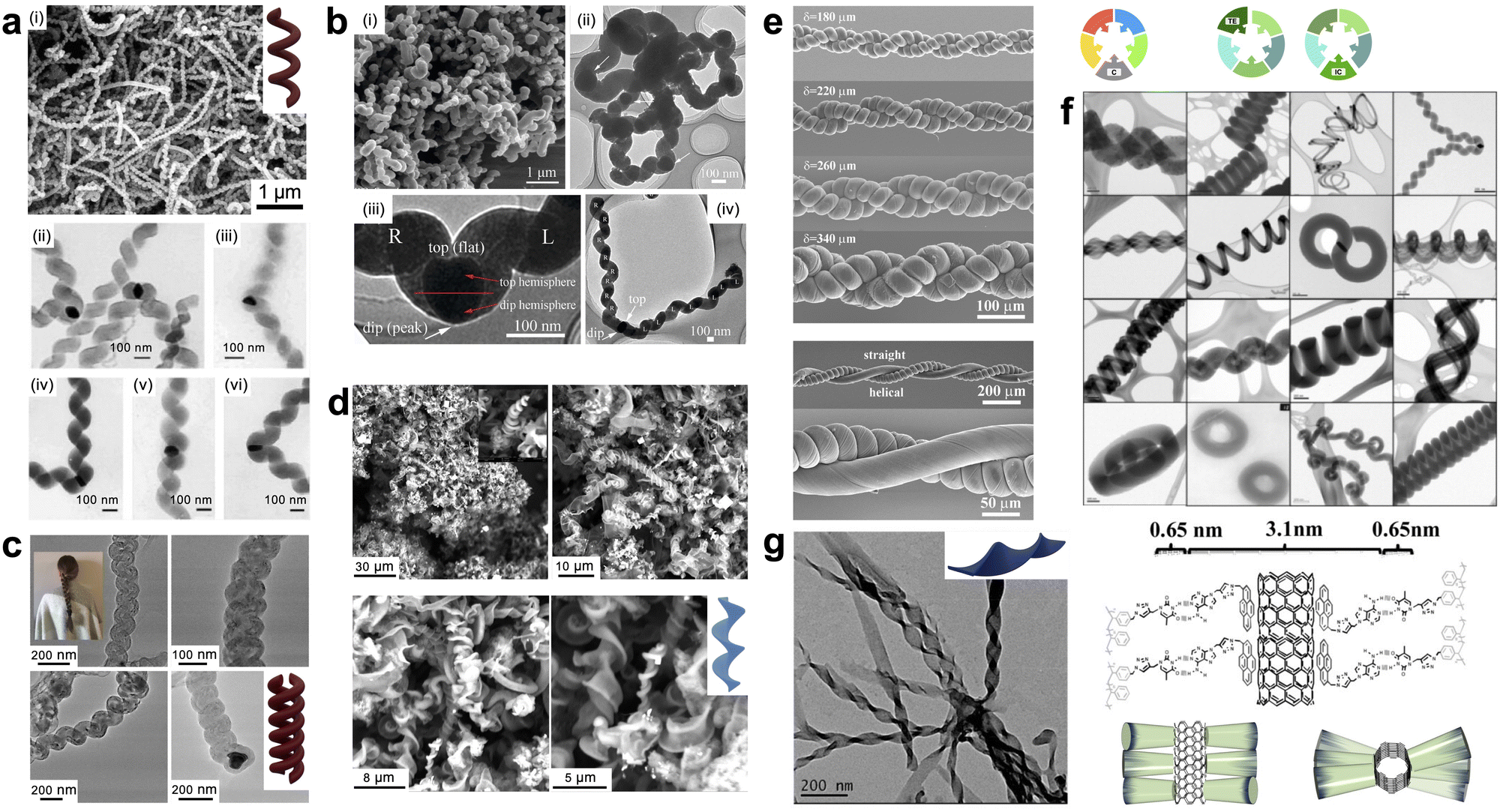 Organic chiral nano- and microfilaments: types, formation, and 