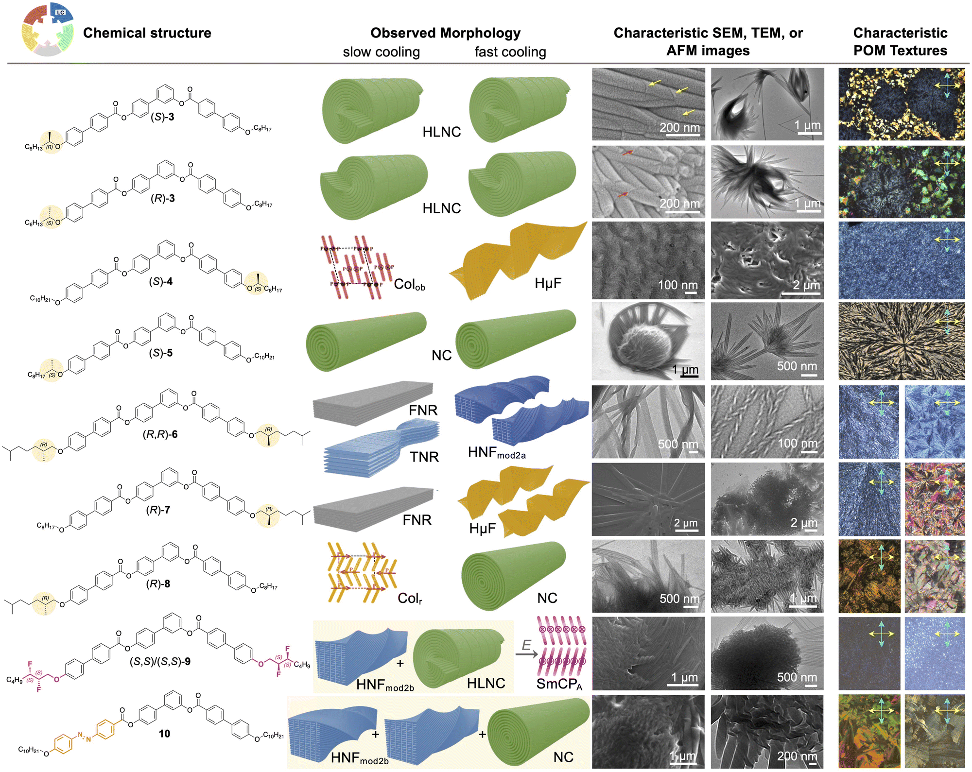 Organic chiral nano- and microfilaments: types, formation, and 