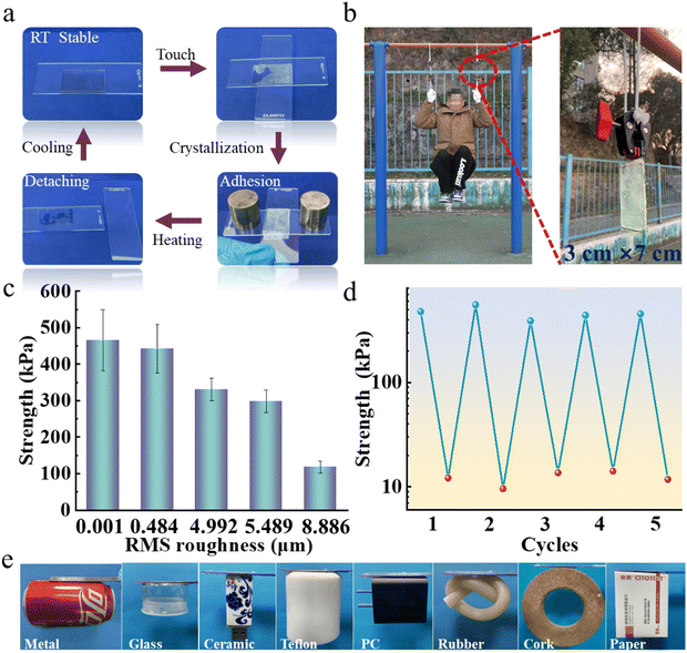 image file: d4mh00331d-f2.tif