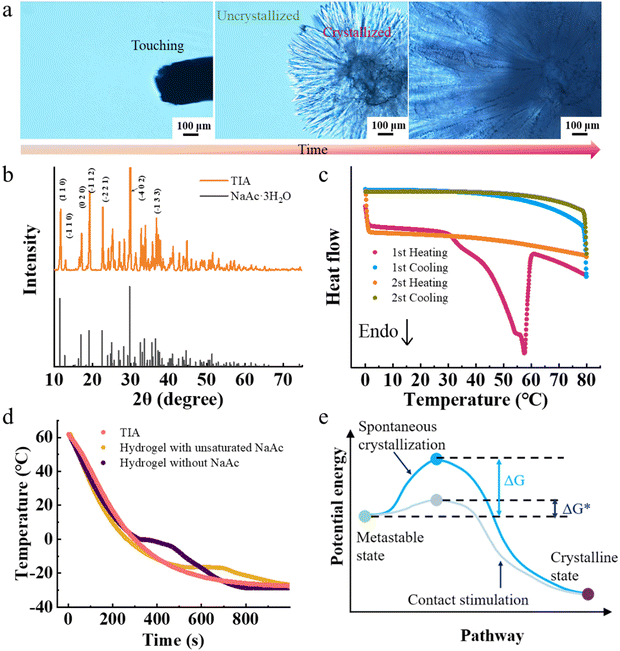 image file: d4mh00331d-f3.tif