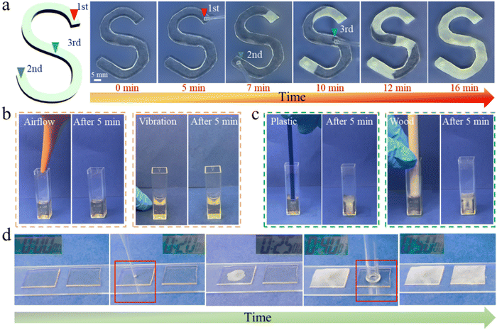 image file: d4mh00331d-f4.tif