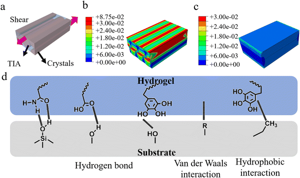 image file: d4mh00331d-f6.tif