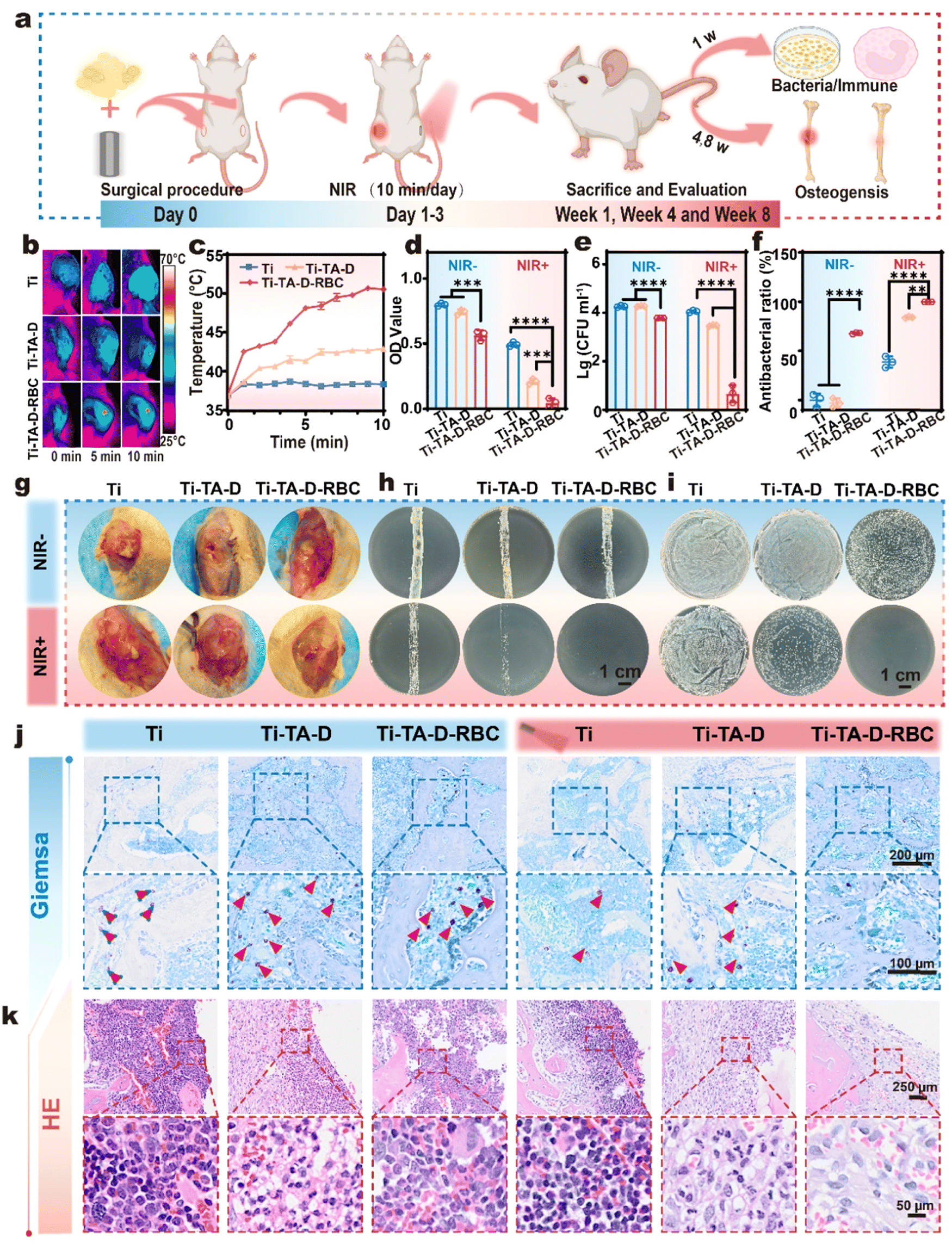 Thermal control of photothermal implants inspired by polar Thermal control of photothermal implants inspired by polar