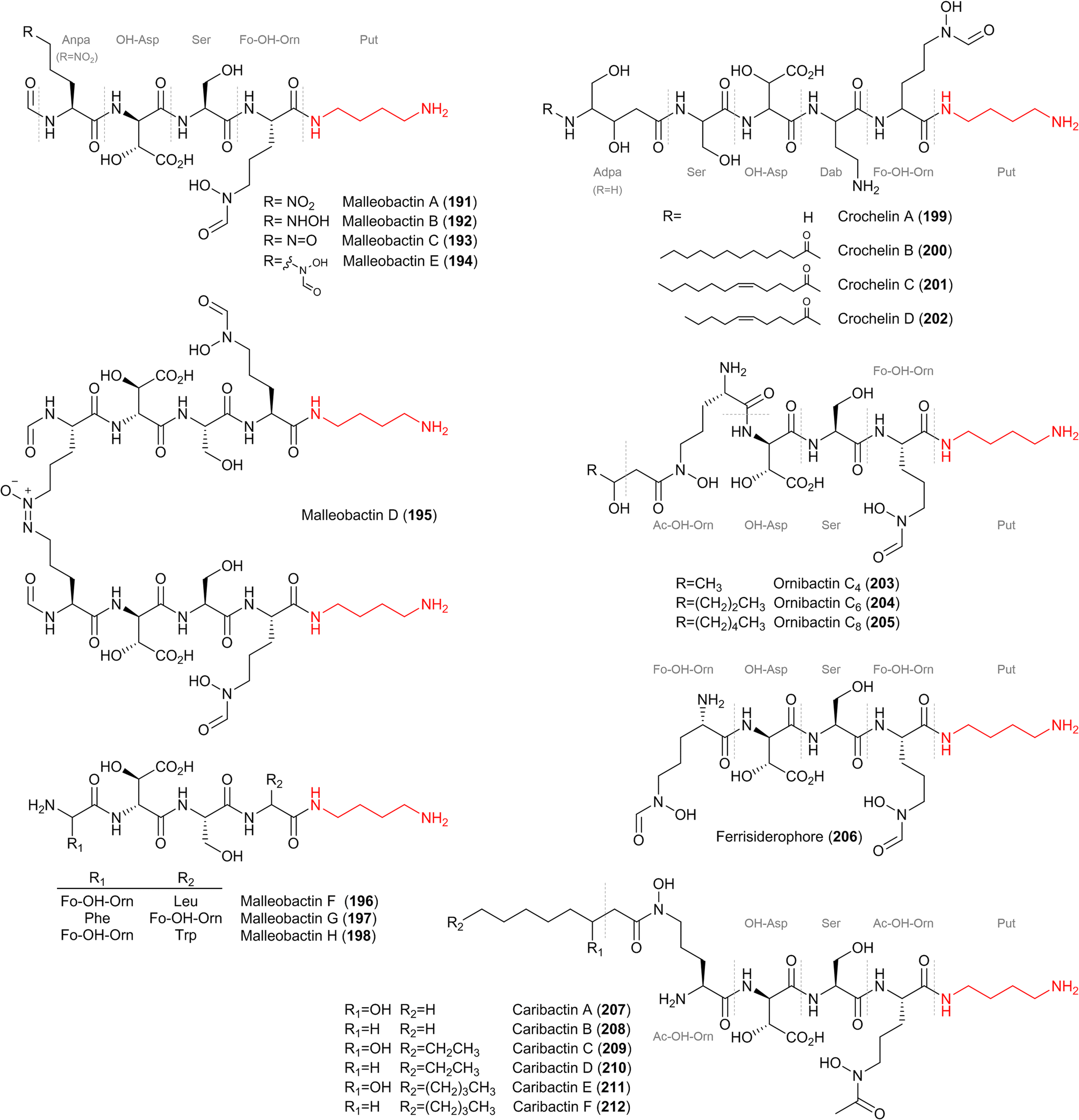 Polyamine-containing natural products: structure, bioactivity, and